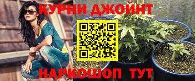 a pvp Гусев