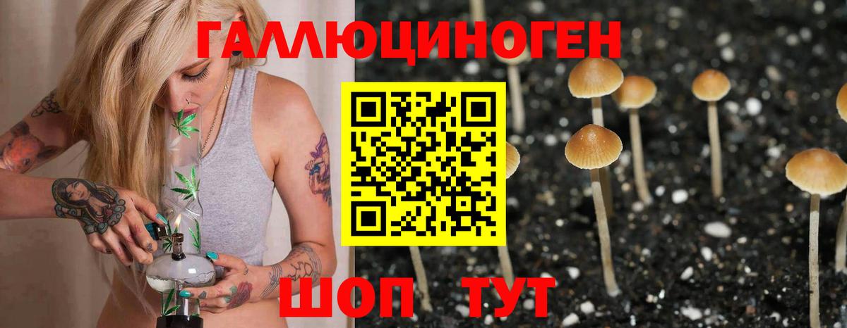 Галлюциногенные грибы мухоморы  Псилоцибиновые грибы Magic Shrooms  Вход с VPN  где купить наркоту  Нерюнгри 