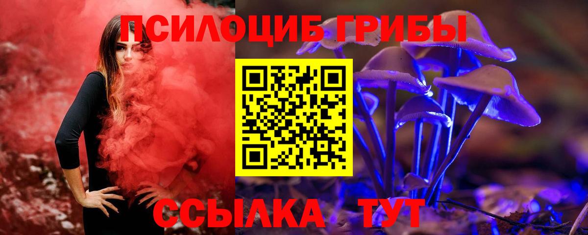 Псилоцибиновые грибы GOLDEN TEACHER Нерюнгри